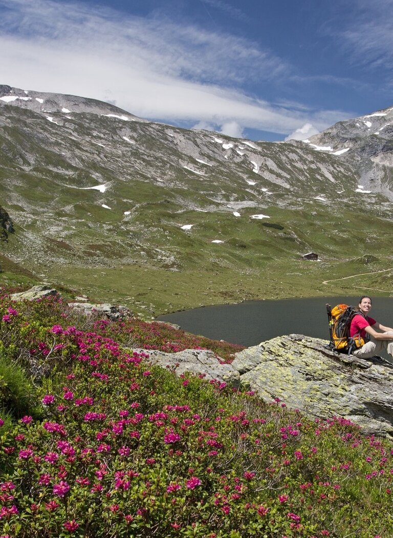 Hiker rests on rock overlooking blooming alpine roses, mountain lake and snow-capped peaks in the background. | © SCHLADMING-DACHSTEIN Tourismusmarketing GmbH