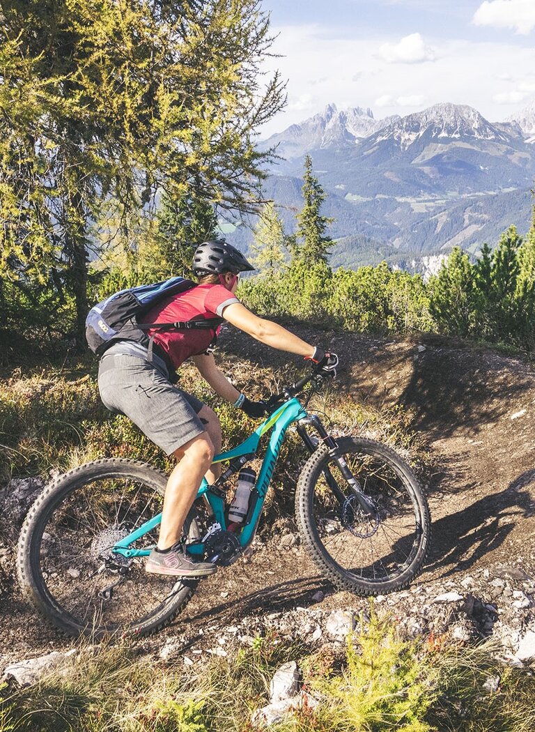 Mountain biker rides a winding trail through conifer forest with panoramic view of the Dachstein massif. | © SCHLADMING-DACHSTEIN Tourismusmarketing GmbH