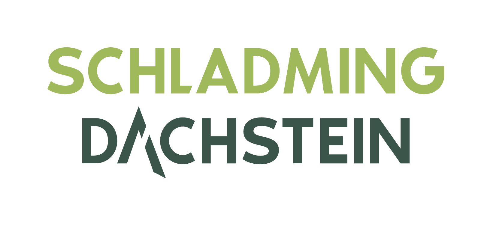 general.logo.schladming-dachstein